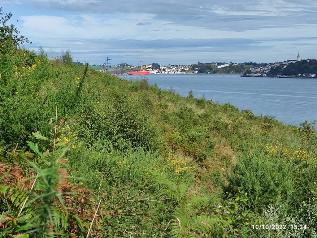 Ribadeo IMG_20221010_152442_Short